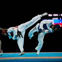 Taekwondo