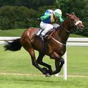 Horse Racing