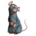 Remy