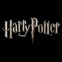 The Harry Potter Series