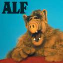 Alf