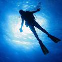 Scuba Diving